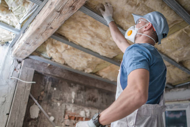 Best Specialized Insulation Services in Berkley, MI