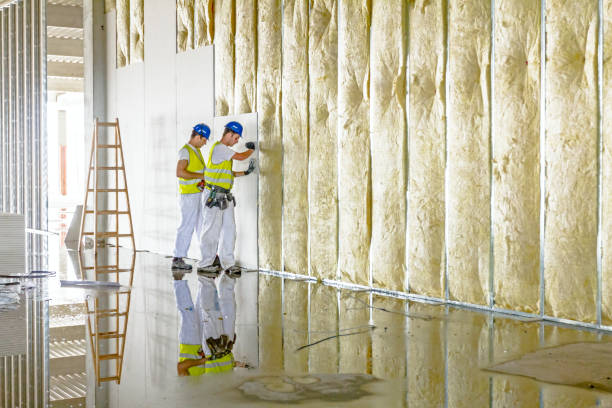 Best Residential Insulation in Berkley, MI